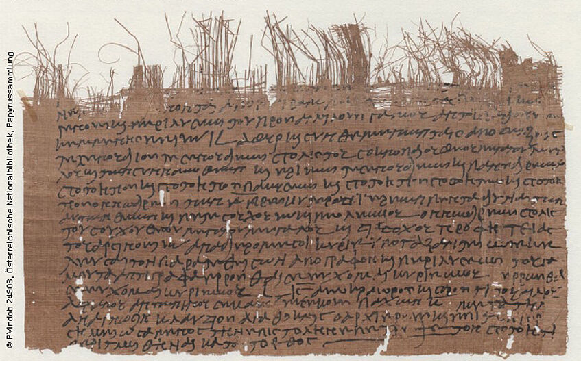 Foto eines Papyrus