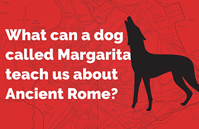 Bild eines Hundes und der Frage "What can a dog called Margarita teach us about Ancient Rome?"